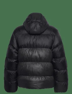 adidas Originals Adicolor Down regen - Dunjackor