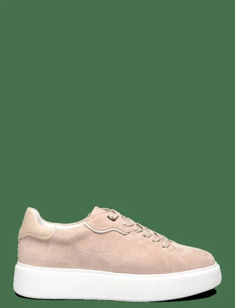 Ardisia - Låga sneakers