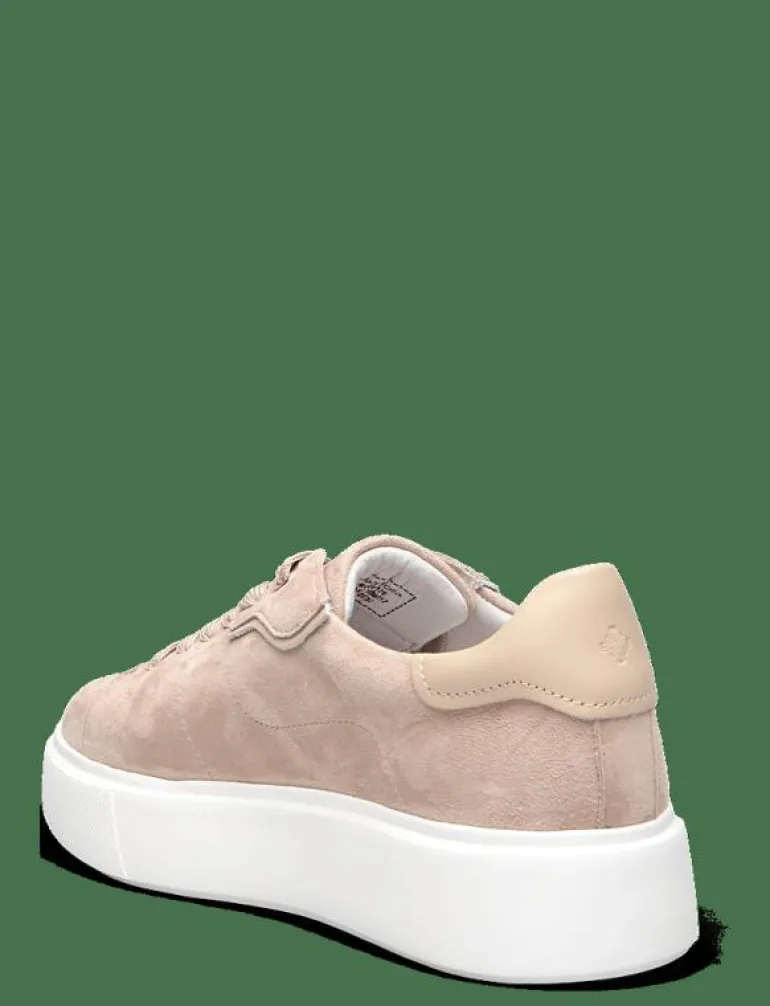 Ardisia - Låga sneakers
