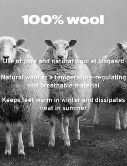 bisgaard casual wool - Inneskor