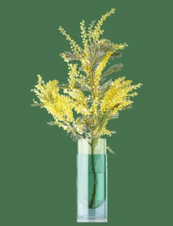 BOUQUET TUBE - Cylindervas
