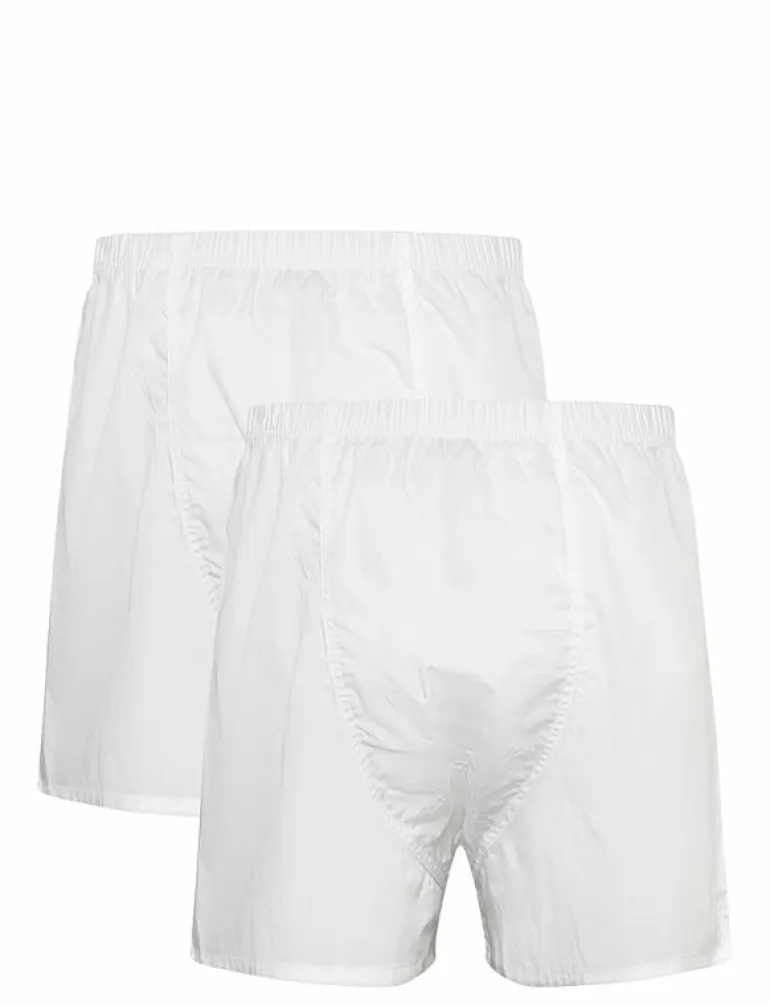 BOXER SHORTS 2-PACK GIFT BOX - Boxershorts