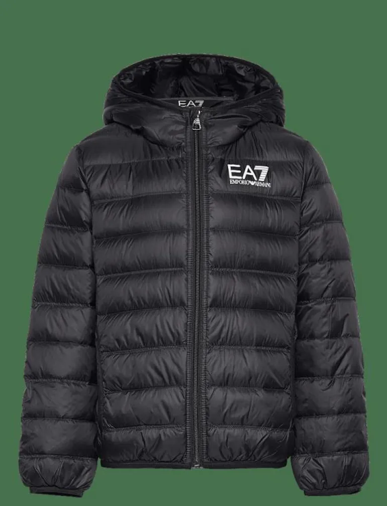 DOWN JACKET - Dunjackor & fodrade jackor