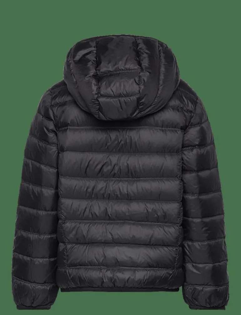 DOWN JACKET - Dunjackor & fodrade jackor