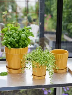 Elise Pot - Krukor