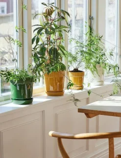 Elise Pot - Krukor