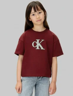 FESTIVE GRAPHIC SS T-SHIRT - Kortärmade