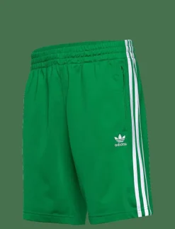 FIREBIRD SHORT - Träningsshorts