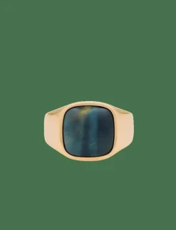 IX Cushion Signet Ring Hawks Eye - Ringar