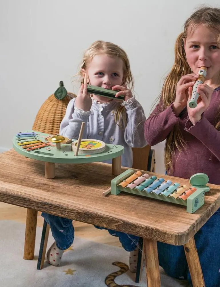 MULTI MUSIC SET WOODEN IN GIFT BOX 5 PARTS - Musikinstrument