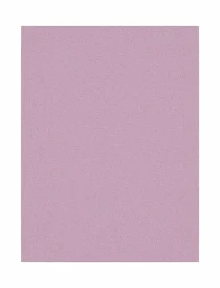 NMFTANK TOP 2P PASTEL LILAC HORSE NOOS - Överdelar