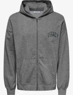 ONSLEGACY SWEAT ZIP VTG HOODIE - Hoodies