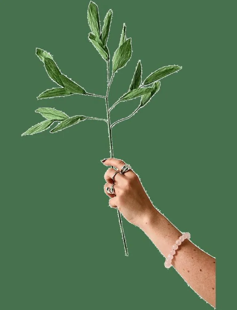 PAPER FLOWER, BRANCH WITH DETAILED LEAFS, GREEN - Torkade blommor
