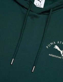 PUMA CLASS Graphic Hoodie FL - Huvtröjor