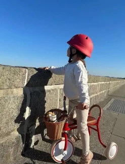 Safety Helmet - Berry - S (51-54 cm) - Hjälm och Skydd
