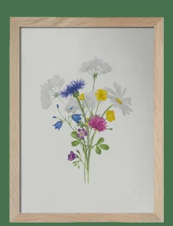 Sju sorters blommor - Botanisk