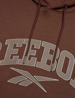 VARSITY ARCH HOODIE - Huvtröjor